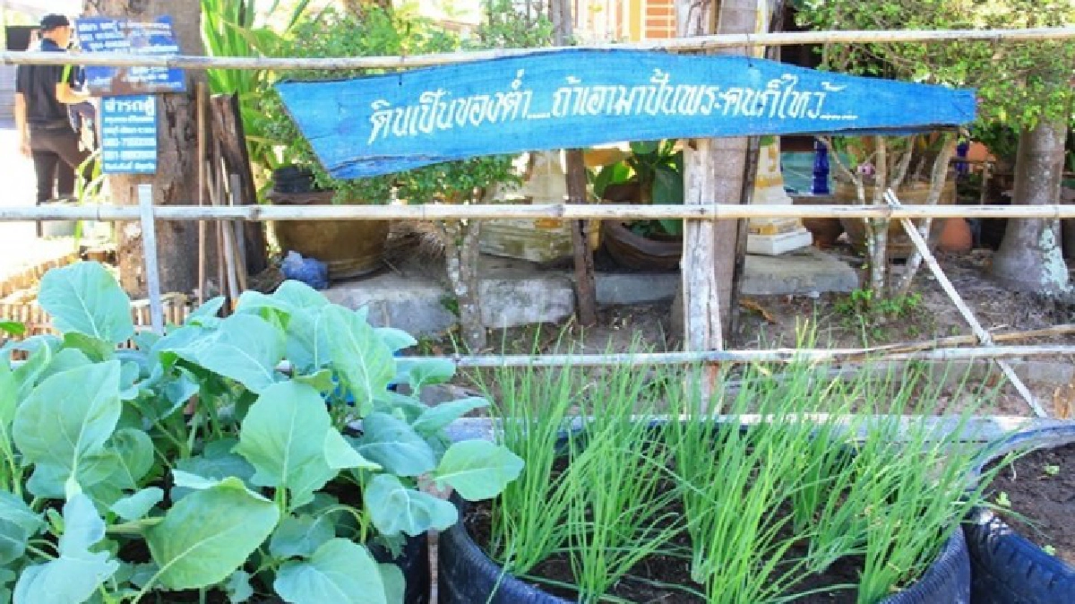 ชุมชนบุรีรัมย์สยบขยะเหลือ“ศูนย์” ชุมชนบุรีรัมย์สยบขยะเหลือ“ศูนย์”