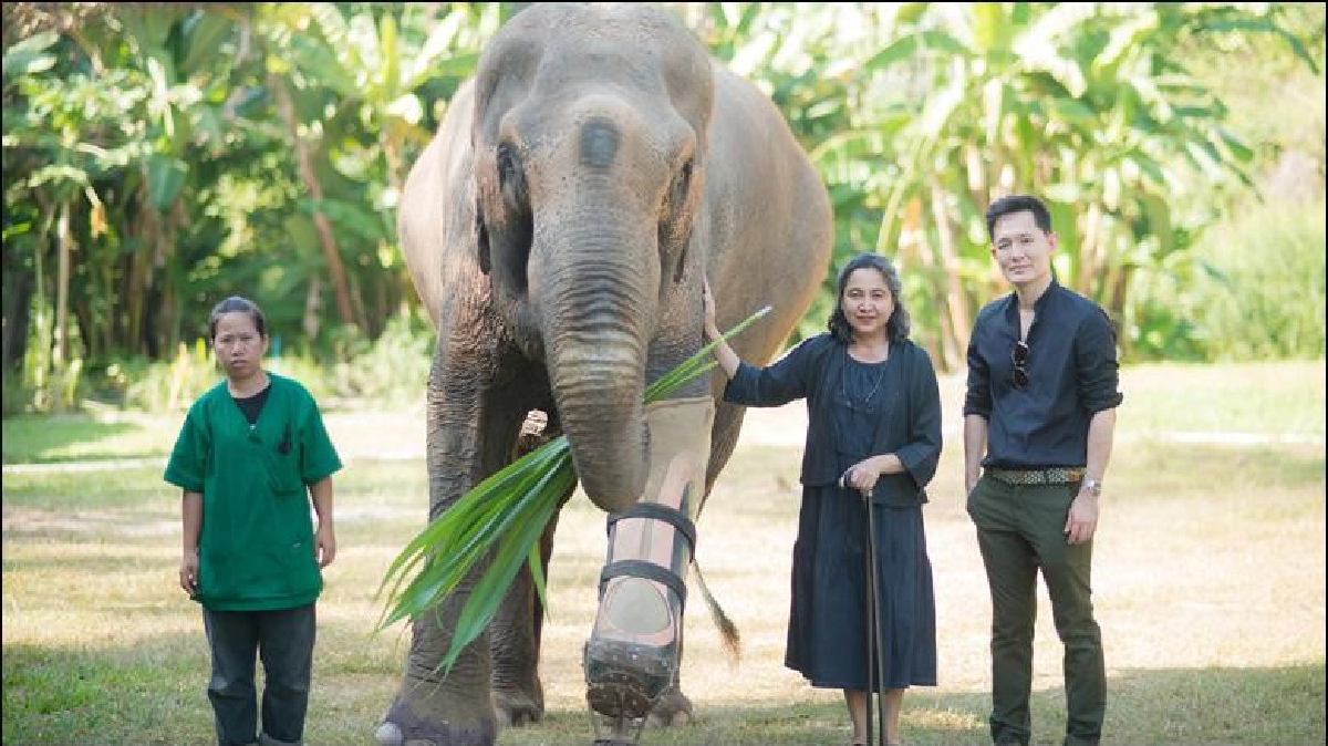 ธัญ’ (THANN) ส่งต่อความดีช่วยเหลือสังคมต่อเนื่องเป็นปีที่ 5 ธัญ’ (THANN) ส่งต่อความดีช่วยเหลือสังคมต่อเนื่องเป็นปีที่ 5