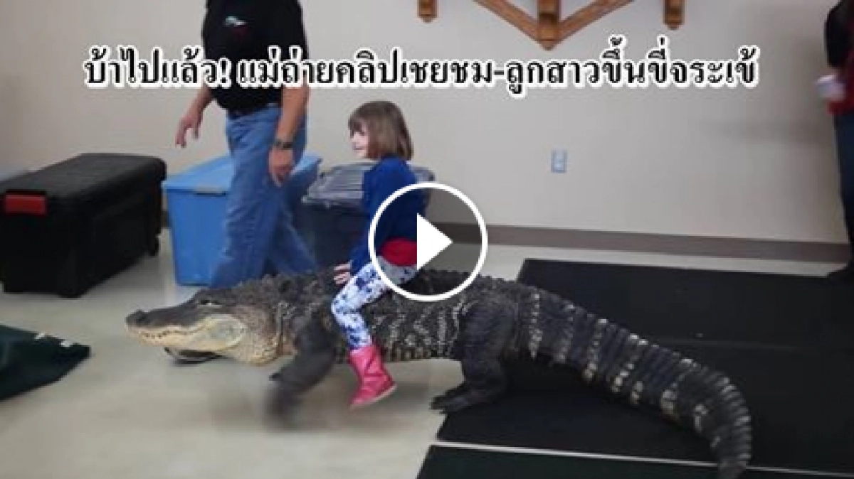 ดญ.ขี่หลังจระเข้!! เสียวสุดๆๆ ดญ.ขี่หลังจระเข้!! เสียวสุดๆๆ