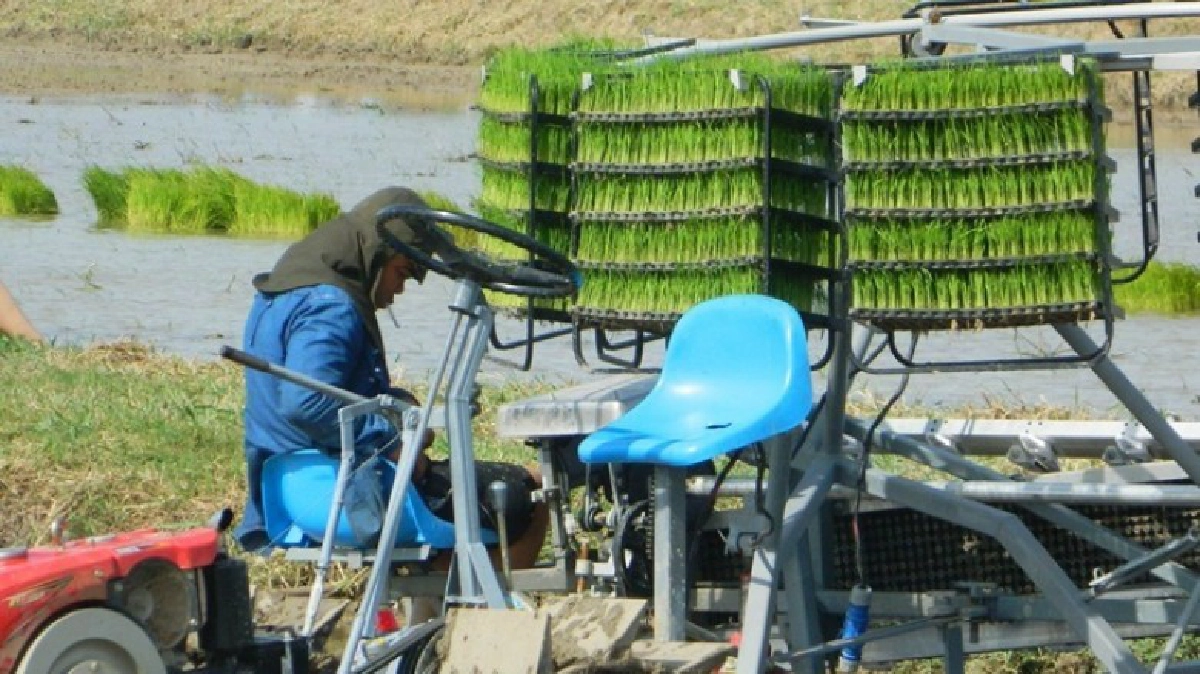 เครื่อง"โรยเมล็ดพันธุ์"ไทยแท้100% เครื่อง"โรยเมล็ดพันธุ์"ไทยแท้100%