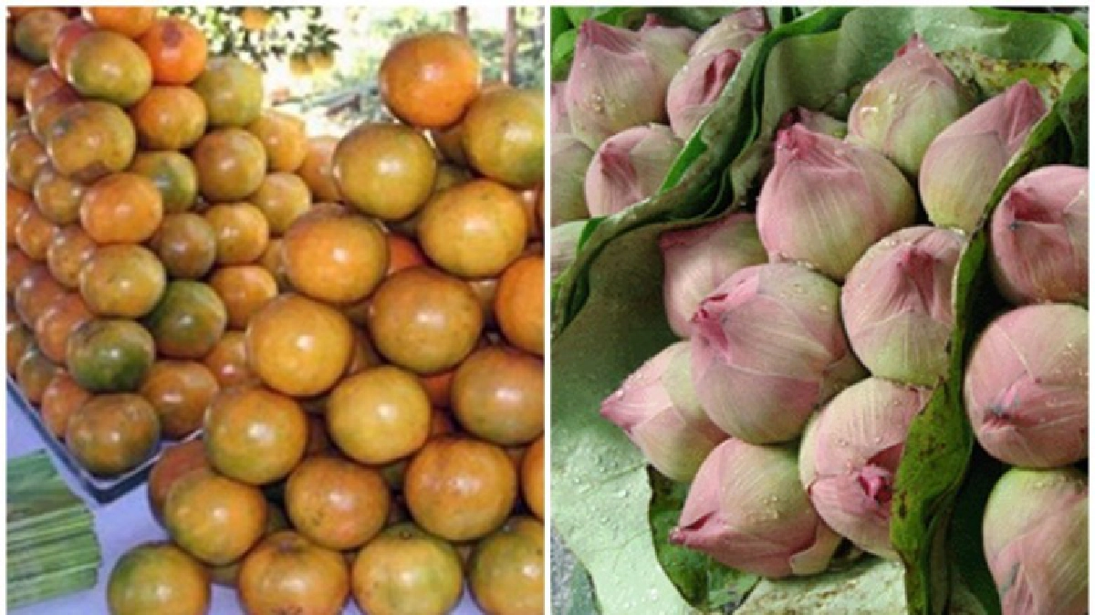  ปลานิล-ส้มสายน้ำผึ้ง-ดอกบัว ปรับวูบ!