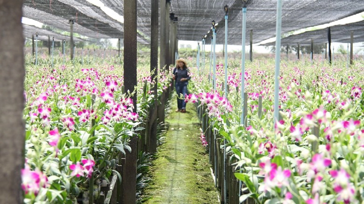 สุขที่ได้ทำ...หาได้จากที่นี่