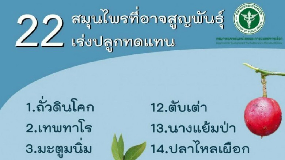 เปิดชื่อสมุนไพร 22 ชนิดเสี่ยงสูญพันธุ์ เปิดชื่อสมุนไพร 22 ชนิดเสี่ยงสูญพันธุ์