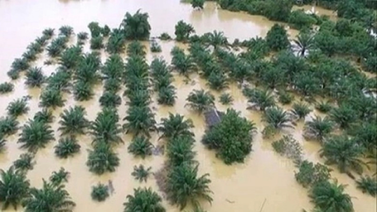 เร่งด่วนช่วยครัวละ3พันบาท! เร่งด่วนช่วยครัวละ3พันบาท!