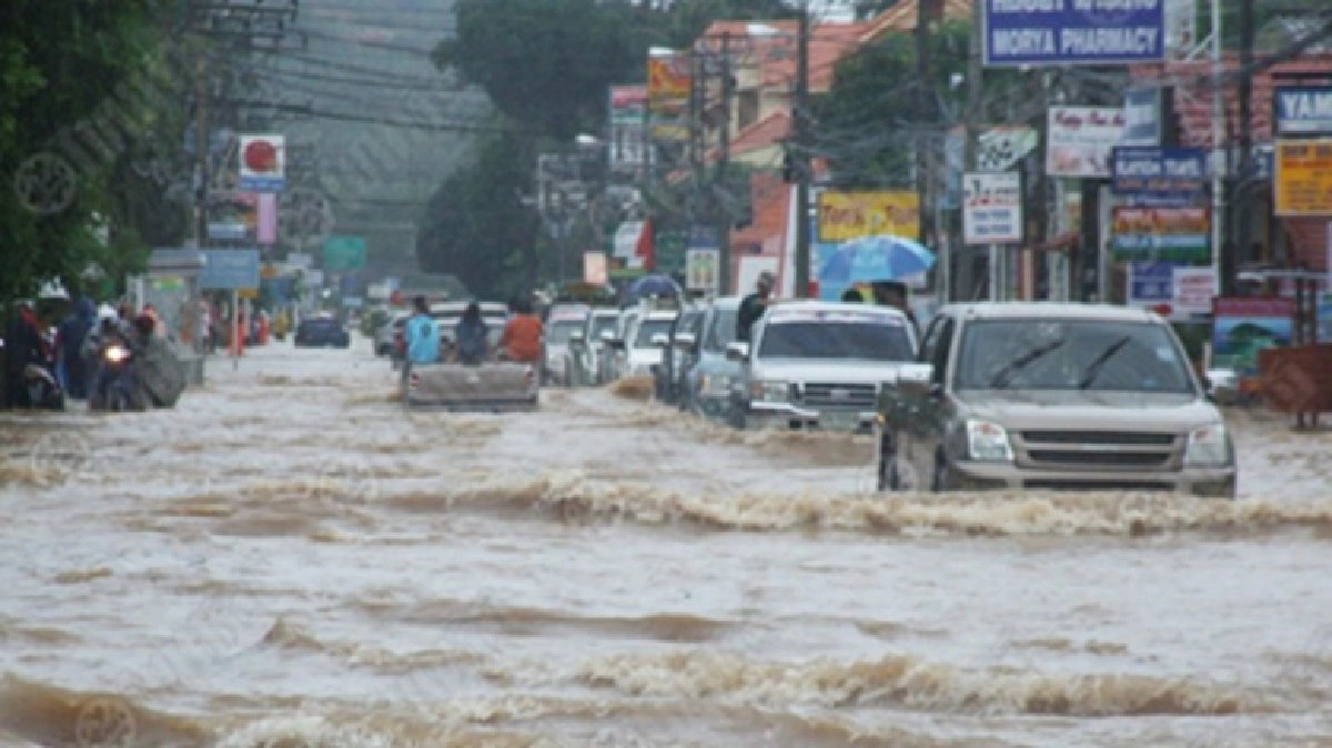 นโยบายน้ำไทย (1)