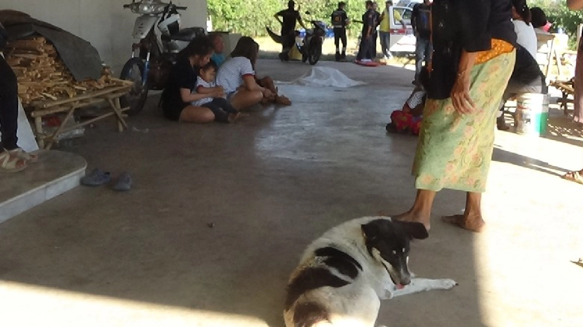 หมาแสนรู้ เห่าเรียกคนให้รู้เจ้านายนอนตายในบ้าน
