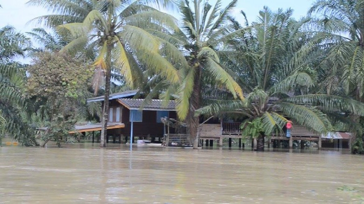 สหกรณ์ระดมพลช่วยชาวใต้ สหกรณ์ระดมพลช่วยชาวใต้