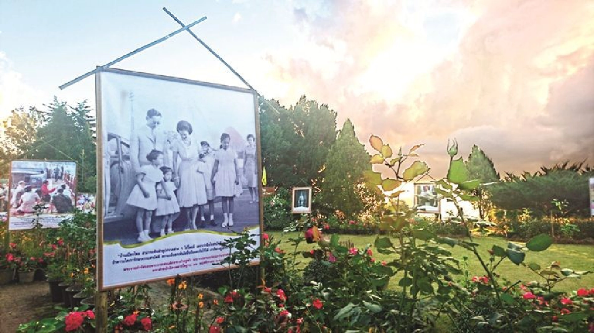ตามทางไม้เมืองหนาวที่พ่อสร้าง ณ ขุนวาง