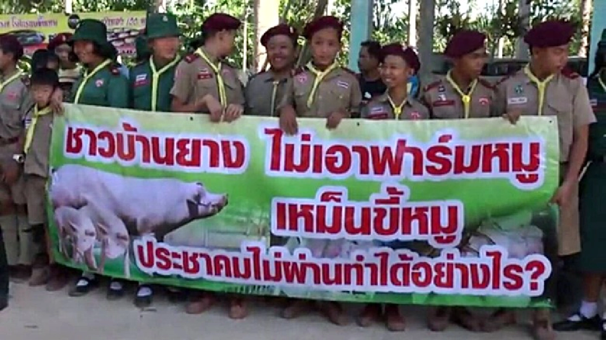 เดือดร้อน!ชาวบ้านร้องฟาร์มหมูส่งกลิ่นเหม็น เดือดร้อน!ชาวบ้านร้องฟาร์มหมูส่งกลิ่นเหม็น