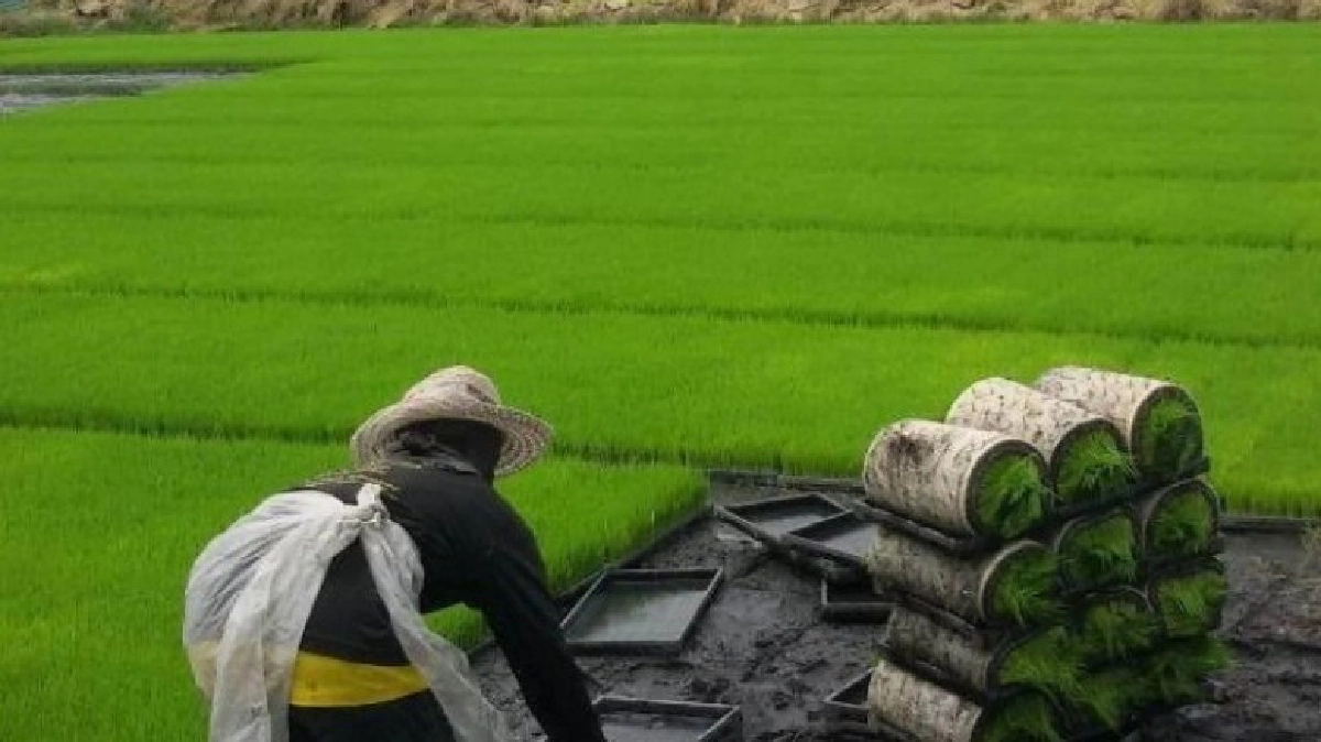 จำเป็นต้องปรับ"ภาคการเกษตรไทย" จำเป็นต้องปรับ"ภาคการเกษตรไทย"