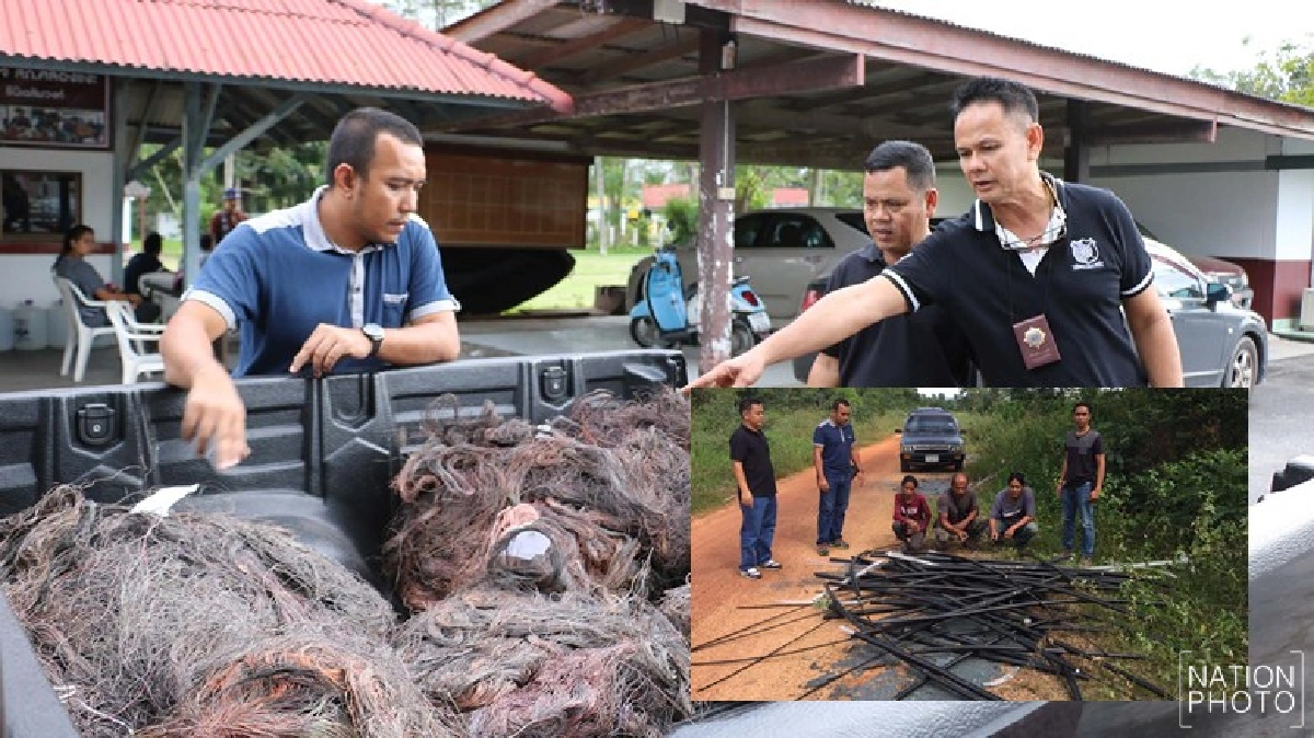 รวบยกแก๊งขโมยตัดสายเคเบิล 
