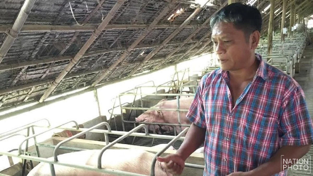 เปิดใจ! เจ้าของฟาร์มหมูป่วยลึกลับ