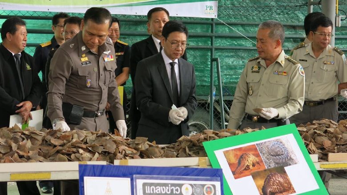ศุลกากรยึด“เกล็ดลิ่น”ลอบผ่านไทยมูลค่า29ล. ศุลกากรยึด“เกล็ดลิ่น”ลอบผ่านไทยมูลค่า29ล.