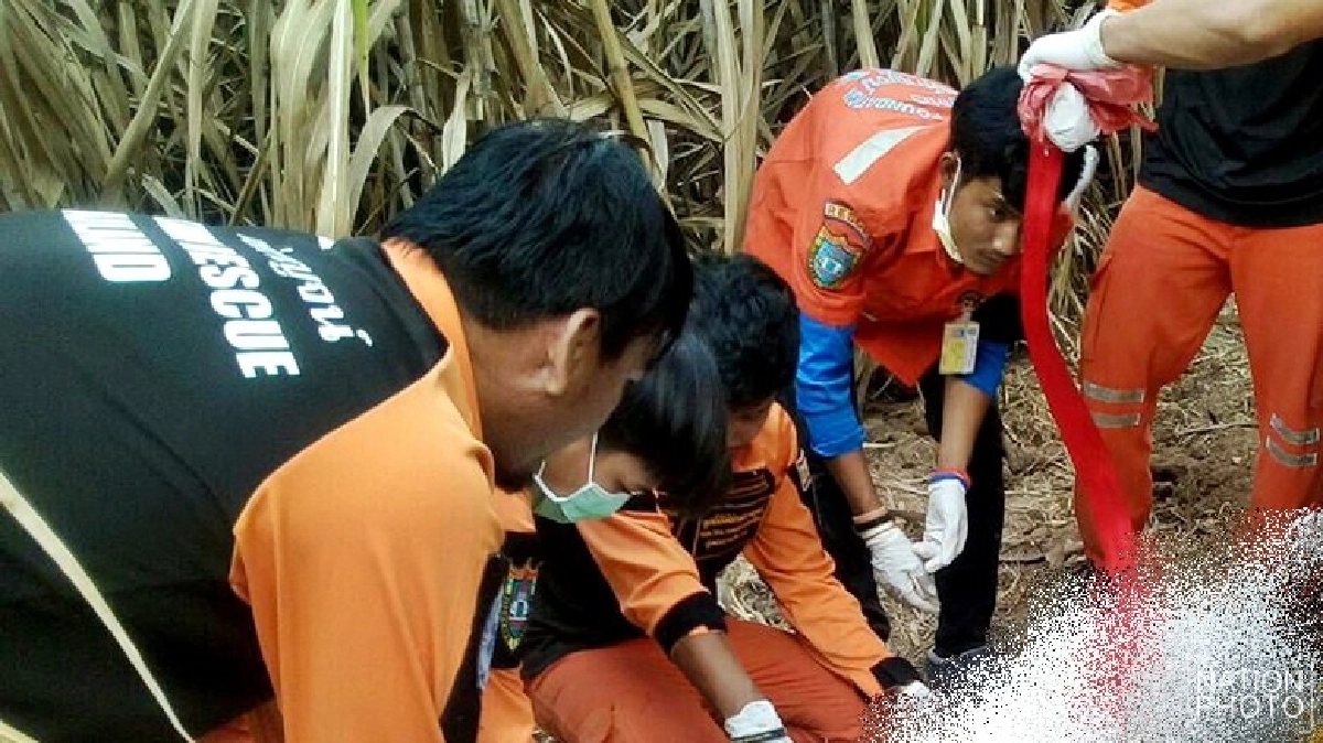 โหด!ฆ่าฝังดินหนุ่มนิรนาม โหด!ฆ่าฝังดินหนุ่มนิรนาม