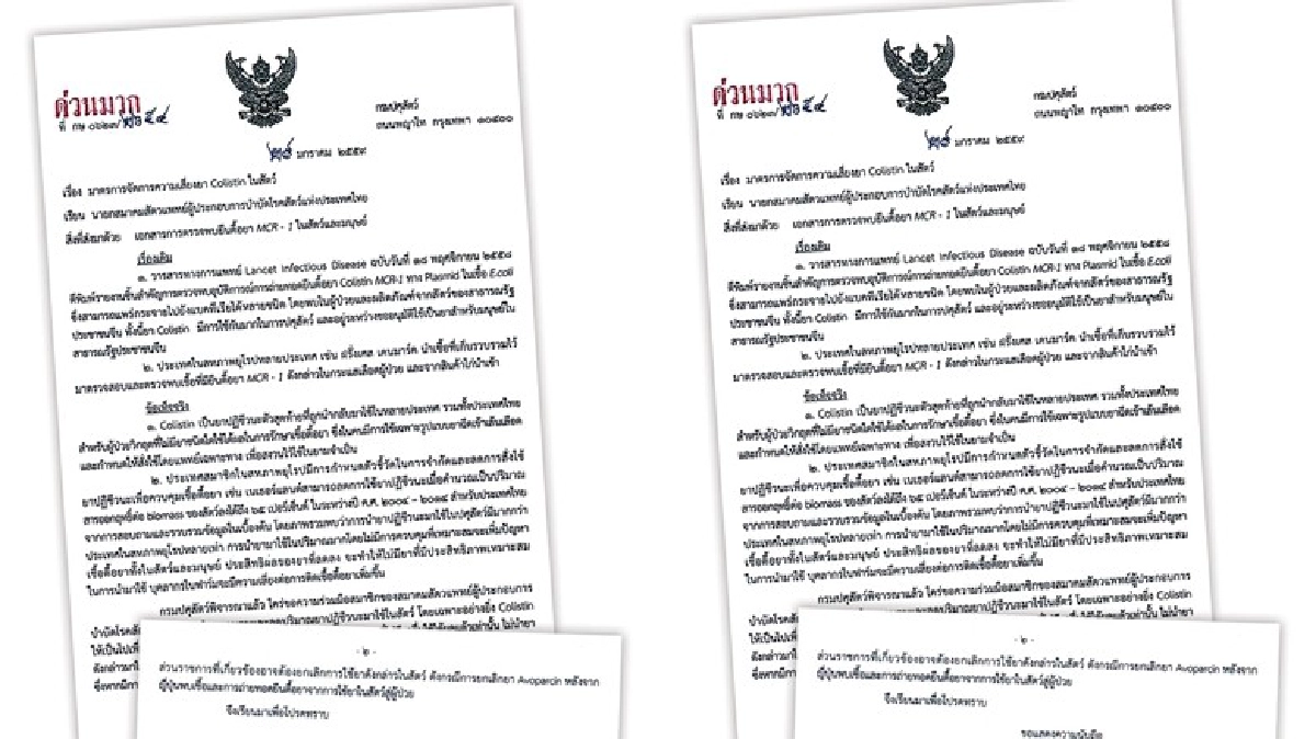 แผนสกัด“ยีนดื้อยาพันธุ์ใหม่”! ฟาร์มหมูไทย แผนสกัด“ยีนดื้อยาพันธุ์ใหม่”! ฟาร์มหมูไทย