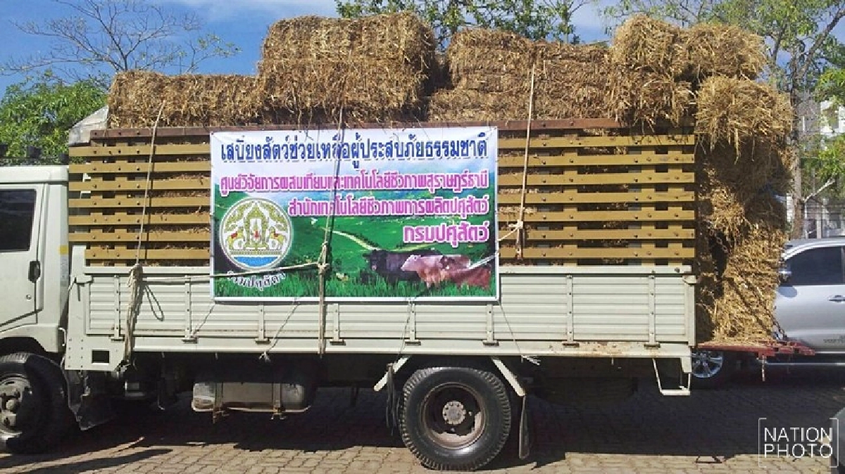 จัดคาราวานปศุสัตว์เคลื่อนที่ จัดคาราวานปศุสัตว์เคลื่อนที่