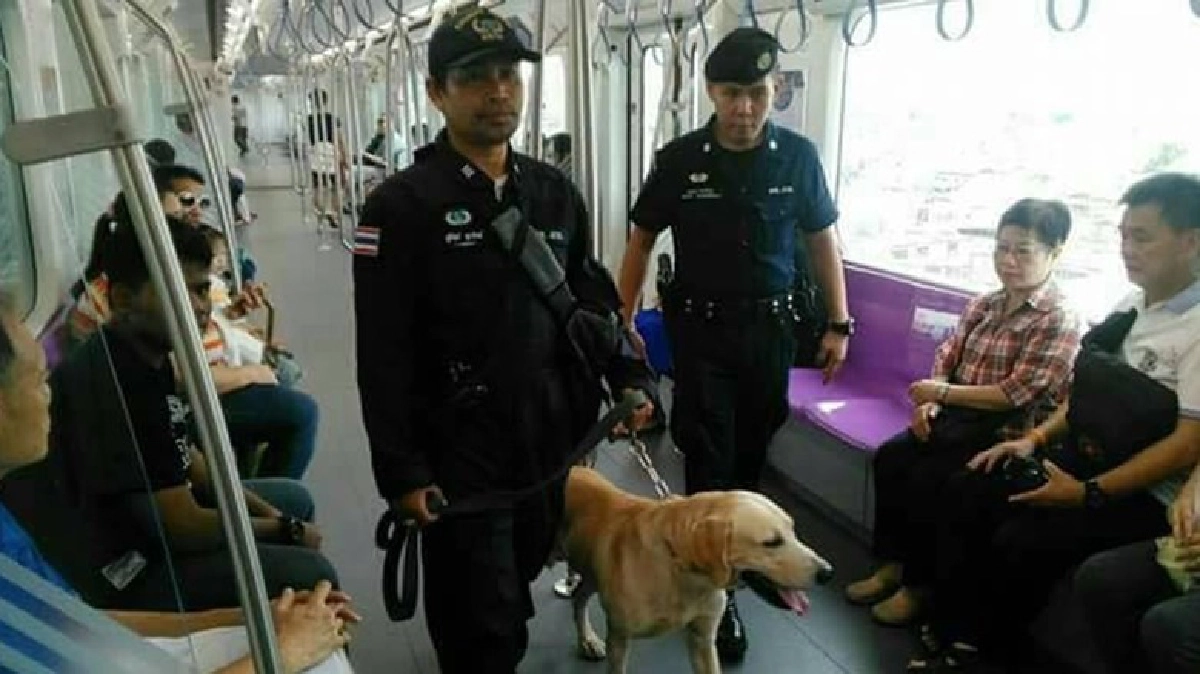รฟม.สั่งคุมเข้มรถไฟฟ้าช่วงวันหยุดยาว รฟม.สั่งคุมเข้มรถไฟฟ้าช่วงวันหยุดยาว