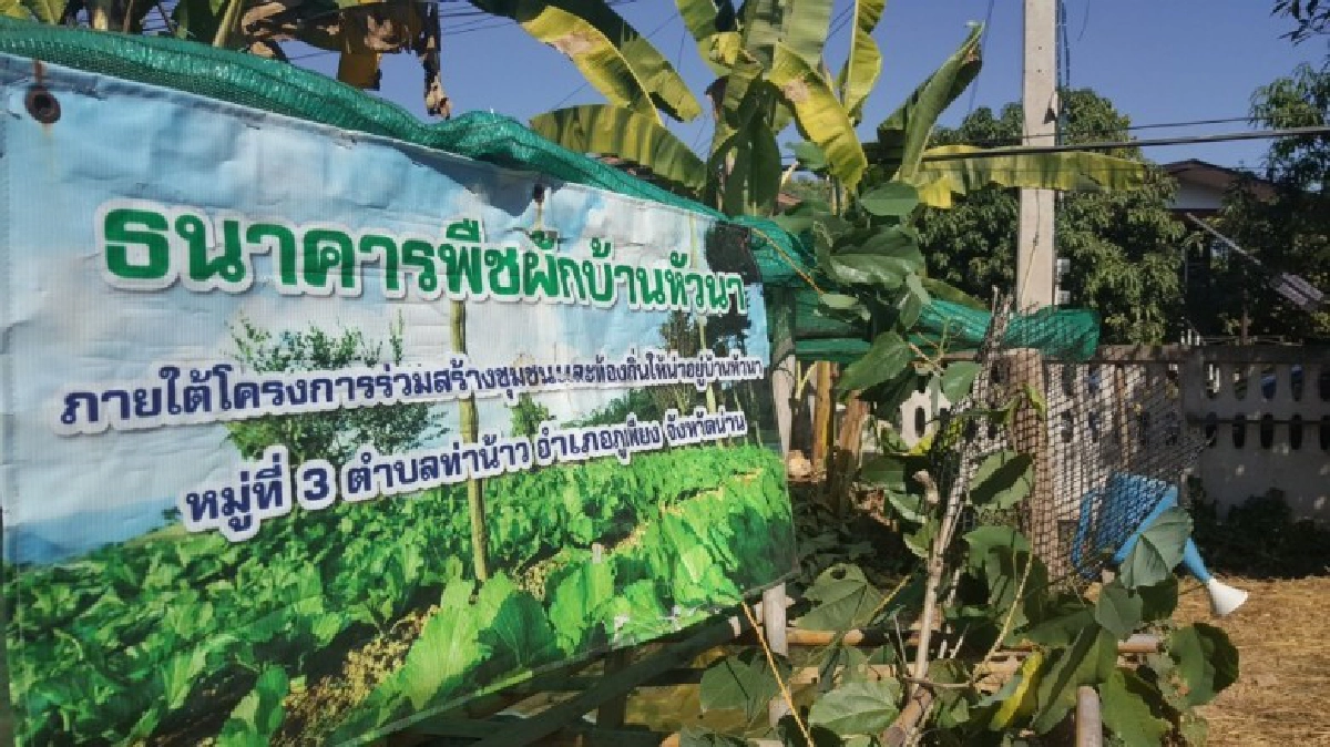 "บ้านหัวนา"ชุมชนสร้างสุขด้วยอาหารปลอดภัย "บ้านหัวนา"ชุมชนสร้างสุขด้วยอาหารปลอดภัย
