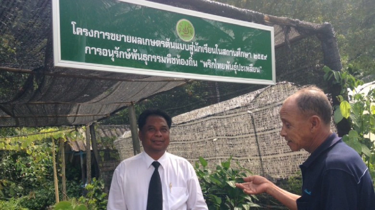 อนุรักษ์พริกไทยปะเหลียนสู่สถานศึกษา อนุรักษ์พริกไทยปะเหลียนสู่สถานศึกษา