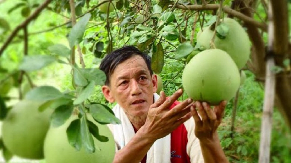 "ส้มโออินทรีย์"สร้างสุข"อุบล การะเวก” 