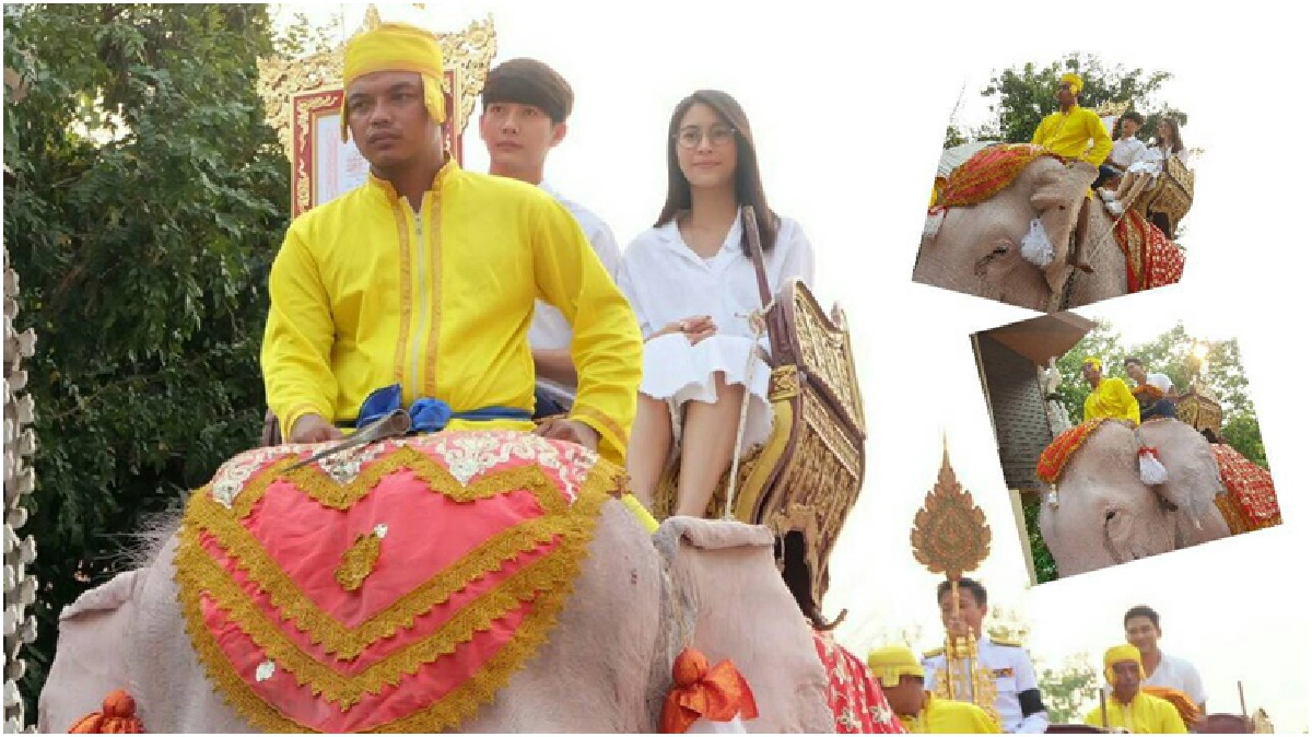 'พุฒ-จุ๋ย-ป๋อ' นั่งช้างร่วมแห่ยิ่งใหญ่ในงาน'วัดท่าไม้'(คลิป) 'พุฒ-จุ๋ย-ป๋อ' นั่งช้างร่วมแห่ยิ่งใหญ่ในงาน'วัดท่าไม้'(คลิป)
