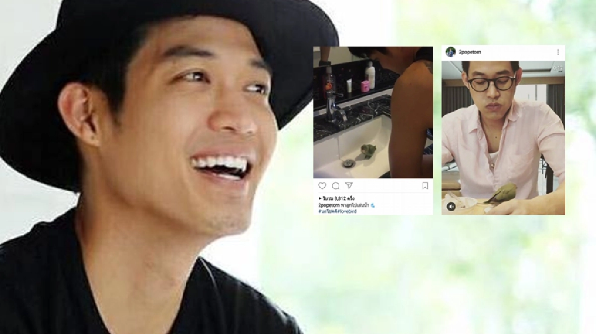 ผู้ชายเลี้ยงนก! ตามดู ‘ตู่’ ภพธร ทำไมทำแบบนี้ (คลิป) ผู้ชายเลี้ยงนก! ตามดู ‘ตู่’ ภพธร ทำไมทำแบบนี้ (คลิป)