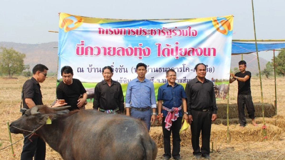สุรินทร์จัดเทศกาลปกป้องเมล็ดพันธุ์ท้องถิ่น 
