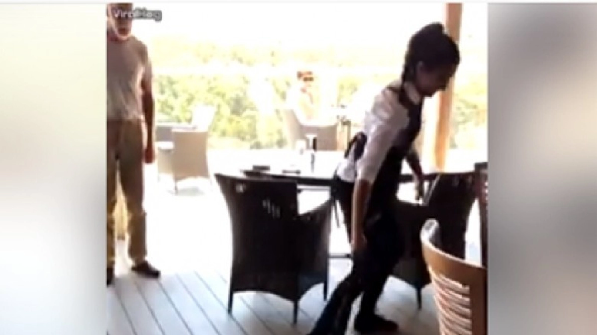 พนง.สาวใจกล้าลากหางไอ้เข้น้อยออกจากร้าน (ชมคลิป) พนง.สาวใจกล้าลากหางไอ้เข้น้อยออกจากร้าน (ชมคลิป)