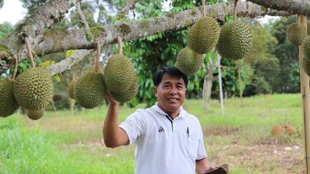 “มูซังคิงส์”มาเลย์คู่แข่ง“หมอนทอง”ไทย