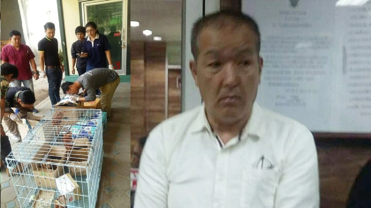 จับ“หนุ่มแดนปลาดิบ”ลอบขนสัตว์ป่ากลับประเทศ จับ“หนุ่มแดนปลาดิบ”ลอบขนสัตว์ป่ากลับประเทศ