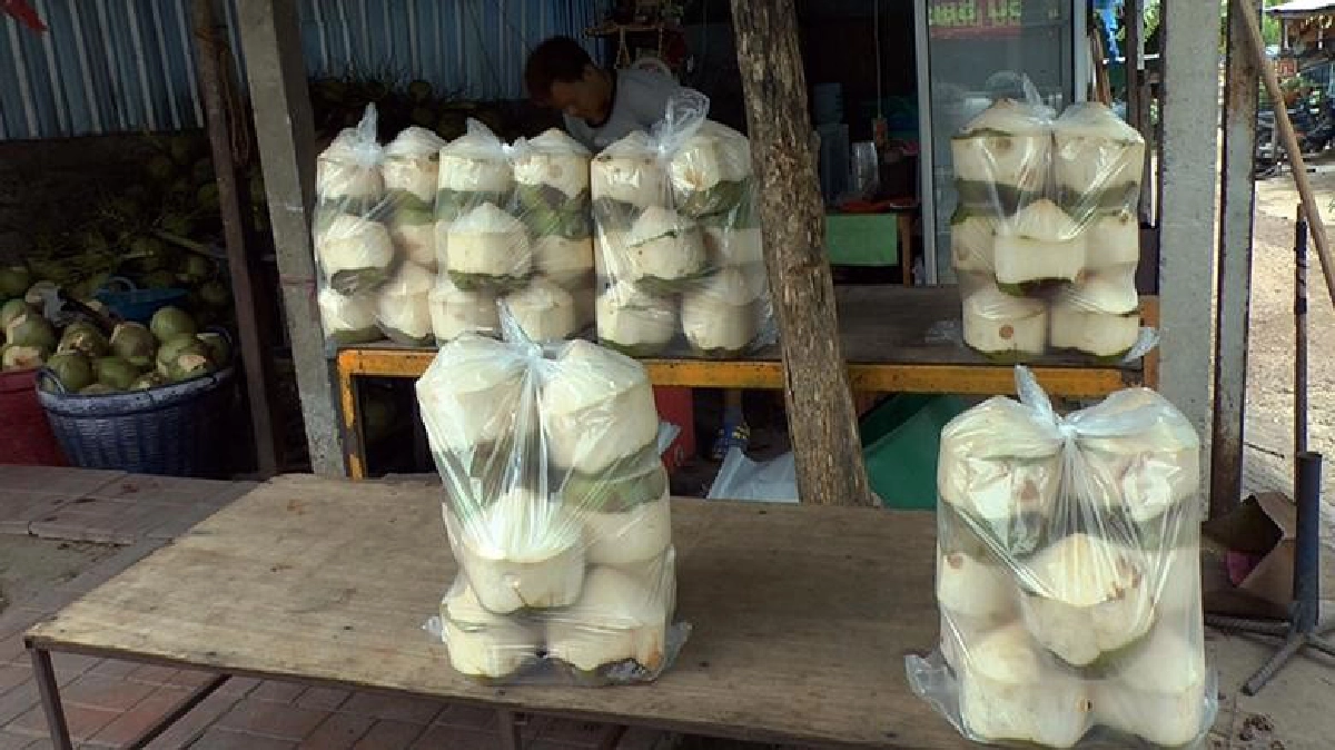 รัฐในอินเดียแบนขายน้ำอัดลม รัฐในอินเดียแบนขายน้ำอัดลม
