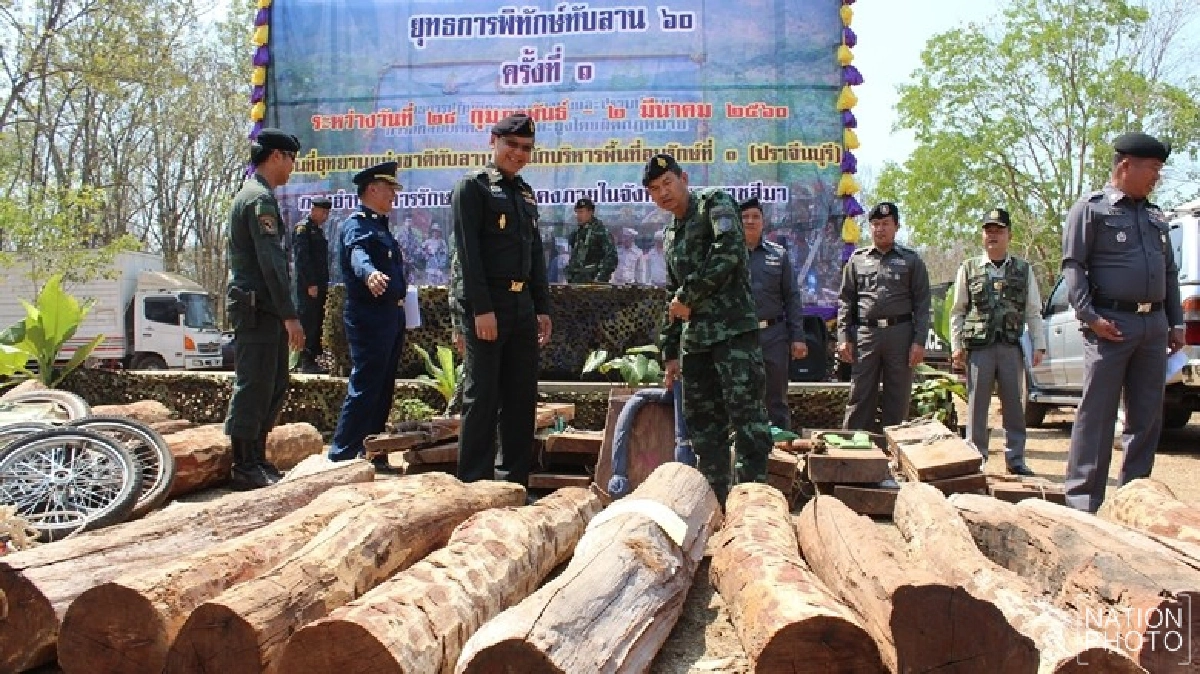 จับมอดไม้ยึดพะยูง 20 ท่อน จับมอดไม้ยึดพะยูง 20 ท่อน