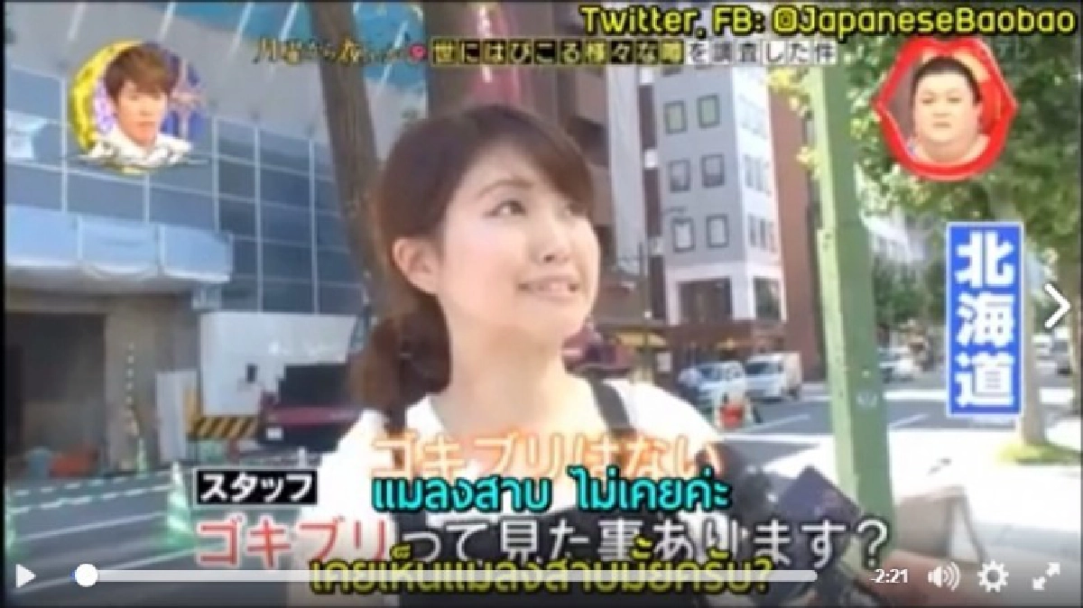 จะเป็นอย่างไร เมื่อคนญี่ปุ่นต้องเจอแมลงสาบตัวเป็นๆ จะเป็นอย่างไร เมื่อคนญี่ปุ่นต้องเจอแมลงสาบตัวเป็นๆ