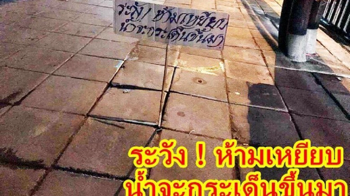 ชาวเน็ตโวย กทม. จัดการ "ทางเท้า - สายไฟ -ต้นไม้" สุดห่วย ชาวเน็ตโวย กทม. จัดการ "ทางเท้า - สายไฟ -ต้นไม้" สุดห่วย