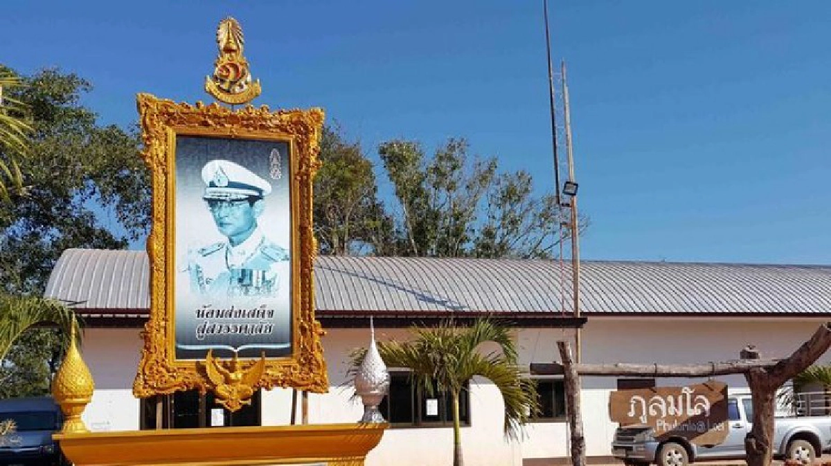 ‘เจอร์รี่’ ดอดอีสานเหนือ ละลานตาซากุระเมืองไทย ‘เจอร์รี่’ ดอดอีสานเหนือ ละลานตาซากุระเมืองไทย