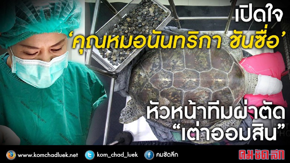 เปิดใจ “หมอหนิ่ง” หัวหน้าทีมผ่าตัด  "เต่าออมสิน” 