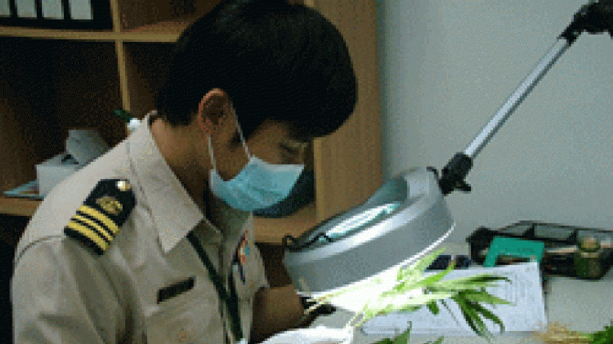 เกษตรฯ ยกเครื่องด่านตรวจพืชรองรับการค้า-ส่งออก เกษตรฯ ยกเครื่องด่านตรวจพืชรองรับการค้า-ส่งออก