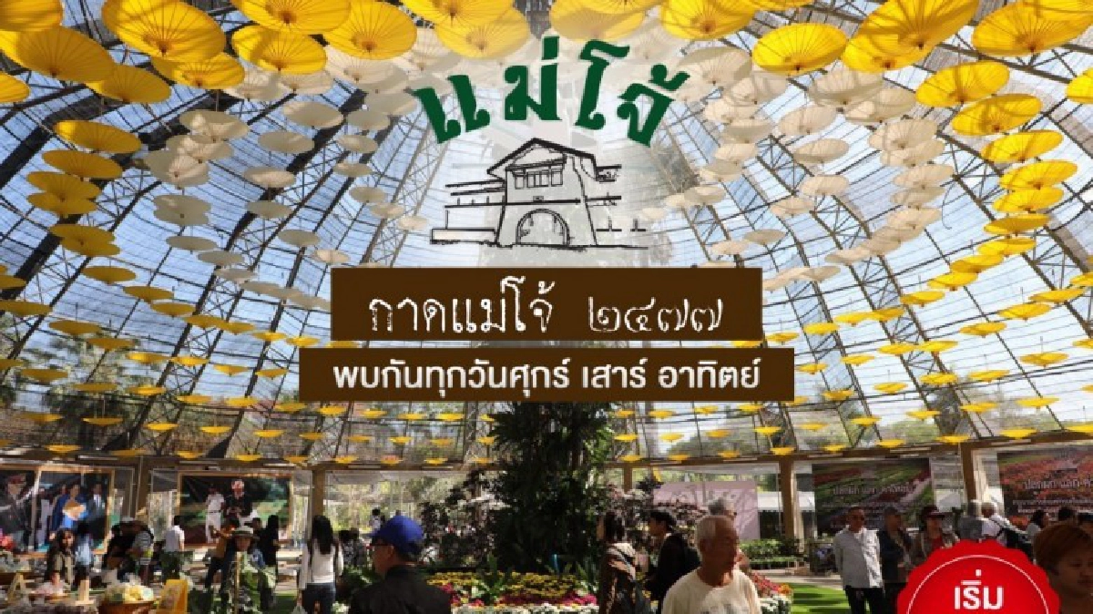 “กาดแม่โจ้ 2477” ตลาดสินค้าปลอดภัยจากผู้ผลิตสู่ผู้บริโภค “กาดแม่โจ้ 2477” ตลาดสินค้าปลอดภัยจากผู้ผลิตสู่ผู้บริโภค
