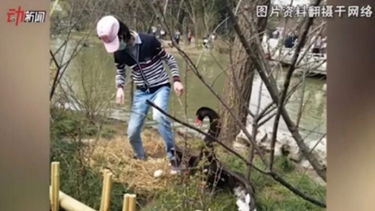 สุดช็อก !! บุกตื้บ “ไข่หงส์”