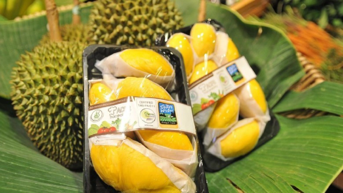 ยกระดับมาตรฐาน  “ทุเรียนแช่เยือกแข็ง” เพื่อการส่งออก
