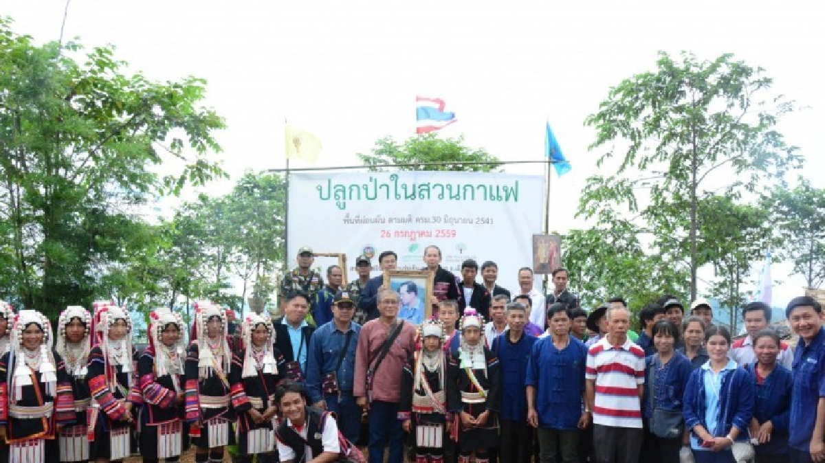  ชาวบ้านขุนลาว ปลูกกาแฟอินทรีย์ชนะเลิศระดับประเทศ