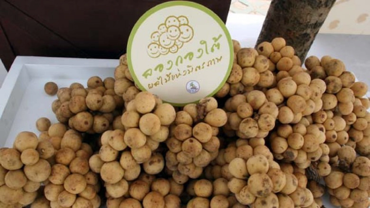 พาณิยช์ประกาศเร่งขึ้นทะเบียน 4 สินค้าจีไอ