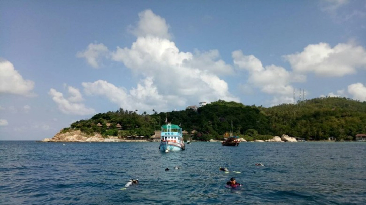 เดินหน้าค้นหานักท่องเที่ยวหายตัวบนเกาะเต่า เดินหน้าค้นหานักท่องเที่ยวหายตัวบนเกาะเต่า