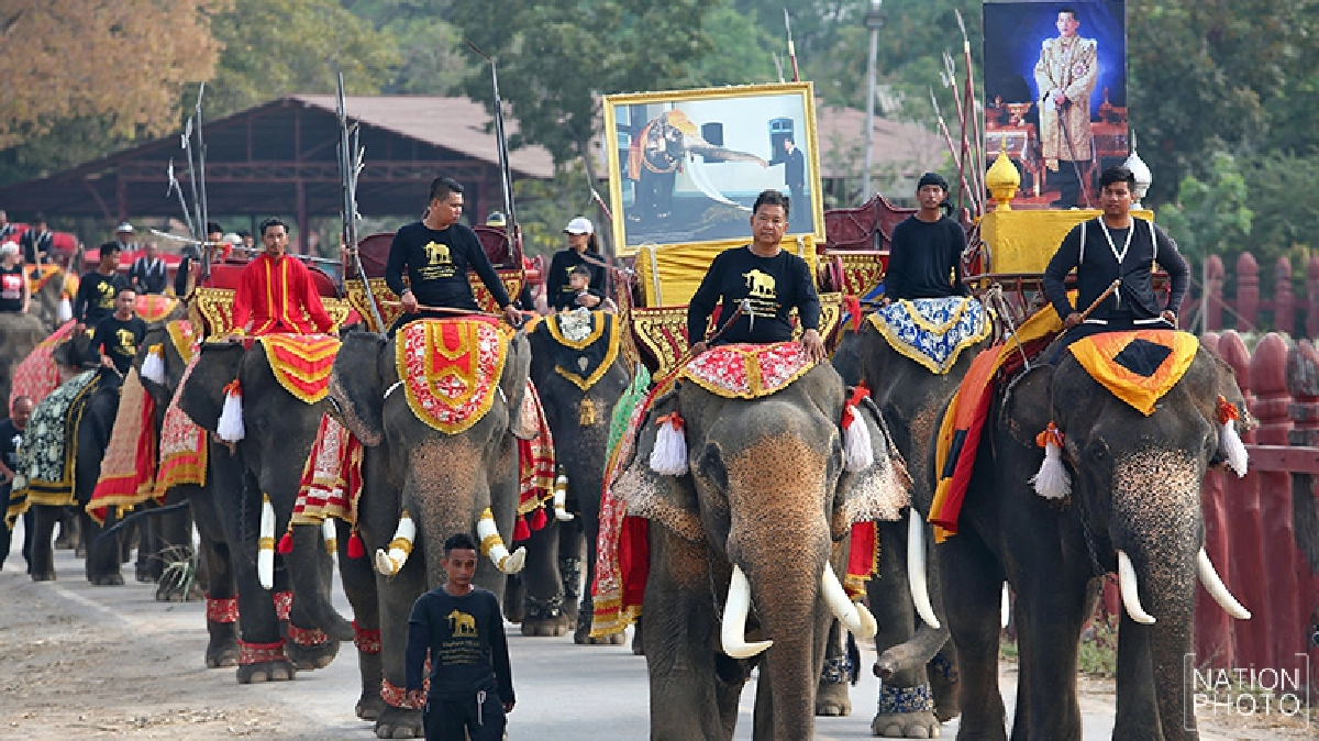 เลี้ยงอาหารช้าง "วันช้างไทย" (ภาพชุด) เลี้ยงอาหารช้าง "วันช้างไทย" (ภาพชุด)