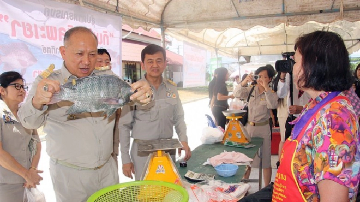 เปิดสัปดาห์กินปลาพะเยา“มีอยู่มีกินเพราะปลานิลของพ่อ"