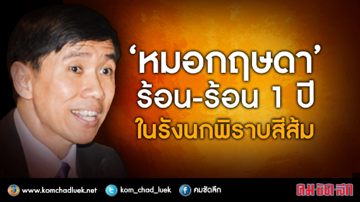 “หมอกฤษดา” ร้อน-ร้อน 1 ปี ในรังนกพิราบสีส้ม