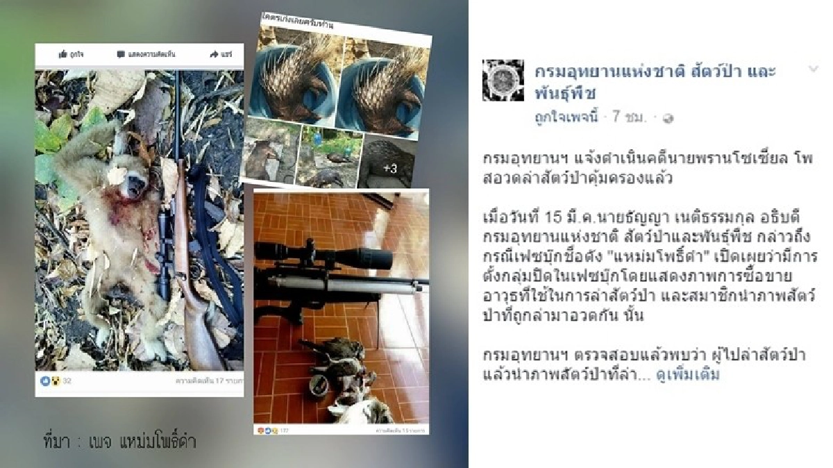 แจ้งความแล้ว !! ล่านายพรานโซเชียลดำเนินคดี แจ้งความแล้ว !! ล่านายพรานโซเชียลดำเนินคดี