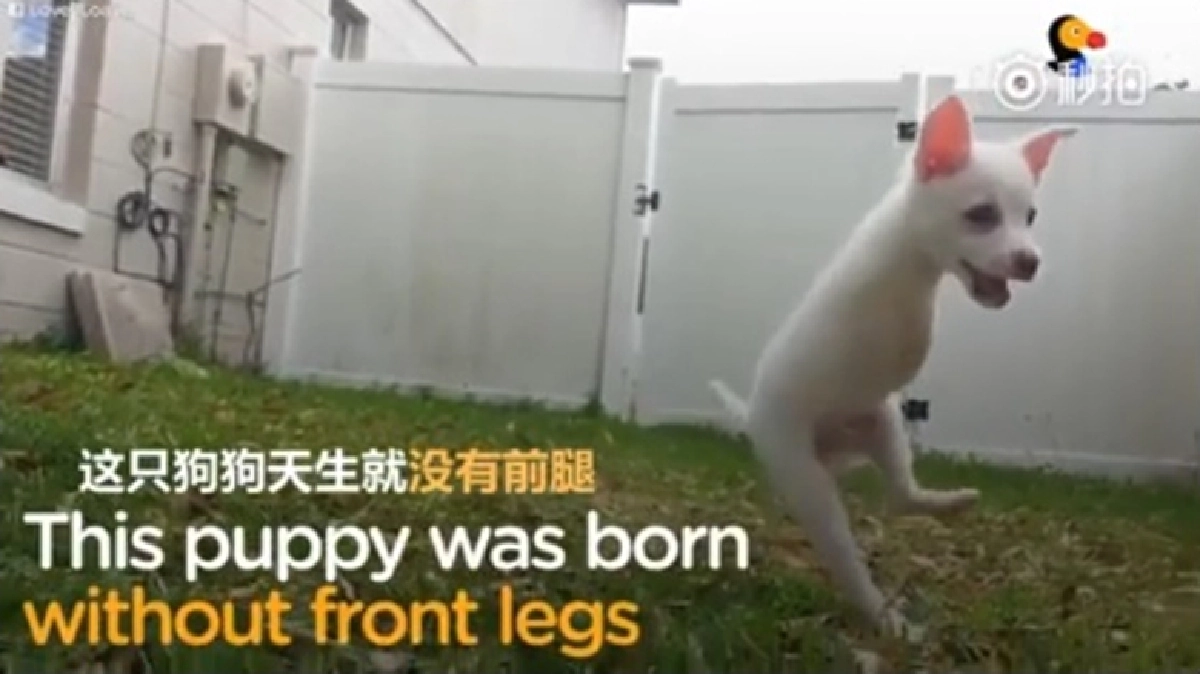 ถึงพิการแต่หัวใจแข็งแกร่ง !! ถึงพิการแต่หัวใจแข็งแกร่ง !!