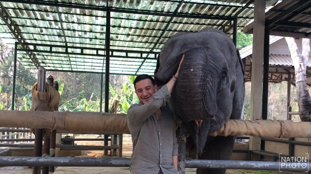 แค่ม้า...คงบิ๊กไม่พอ
