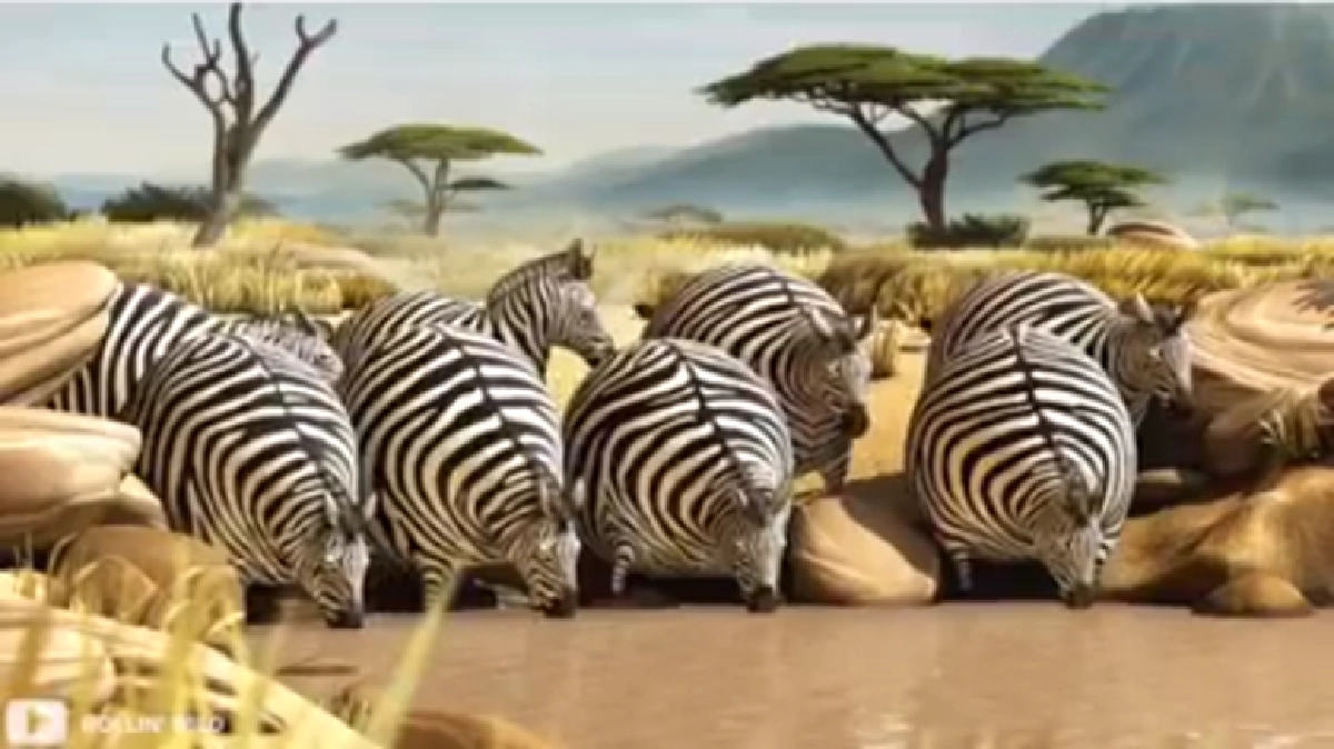 "สัตว์ป่า"ตัวอ้วนกลมก็คงจะดี (ชมคลิป)